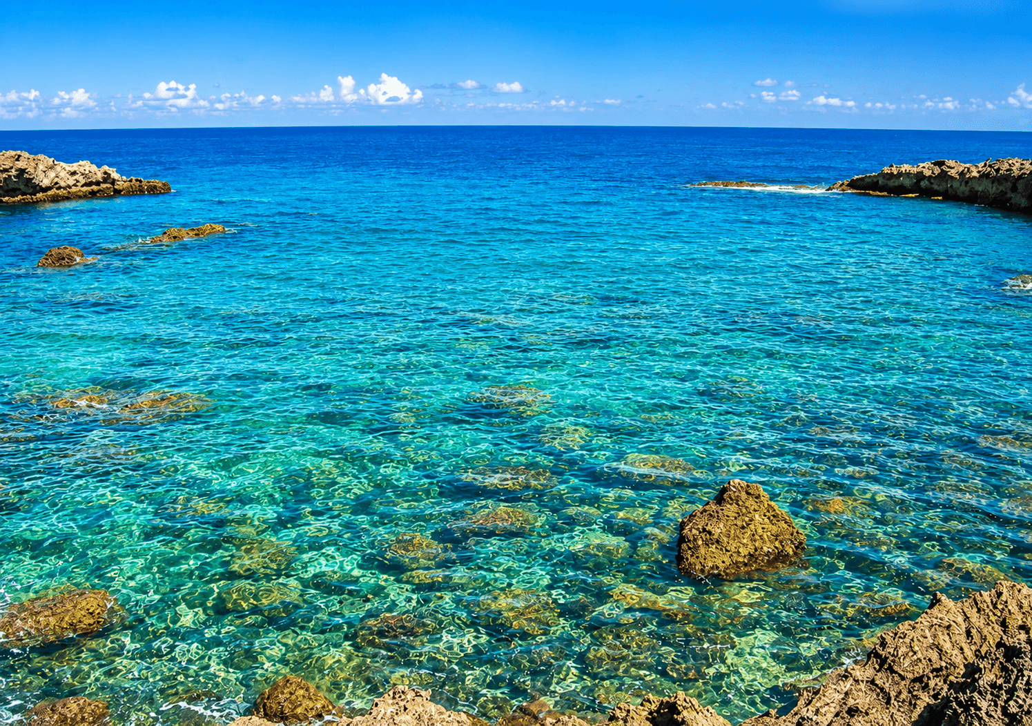 Shark’s Cove