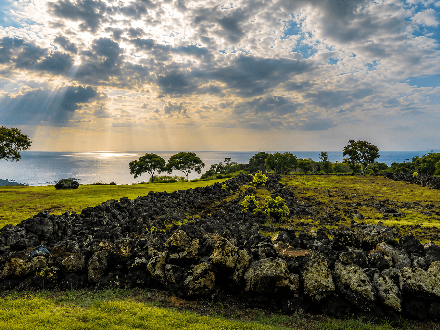 Explore Puʻu O Mahuka Heiau