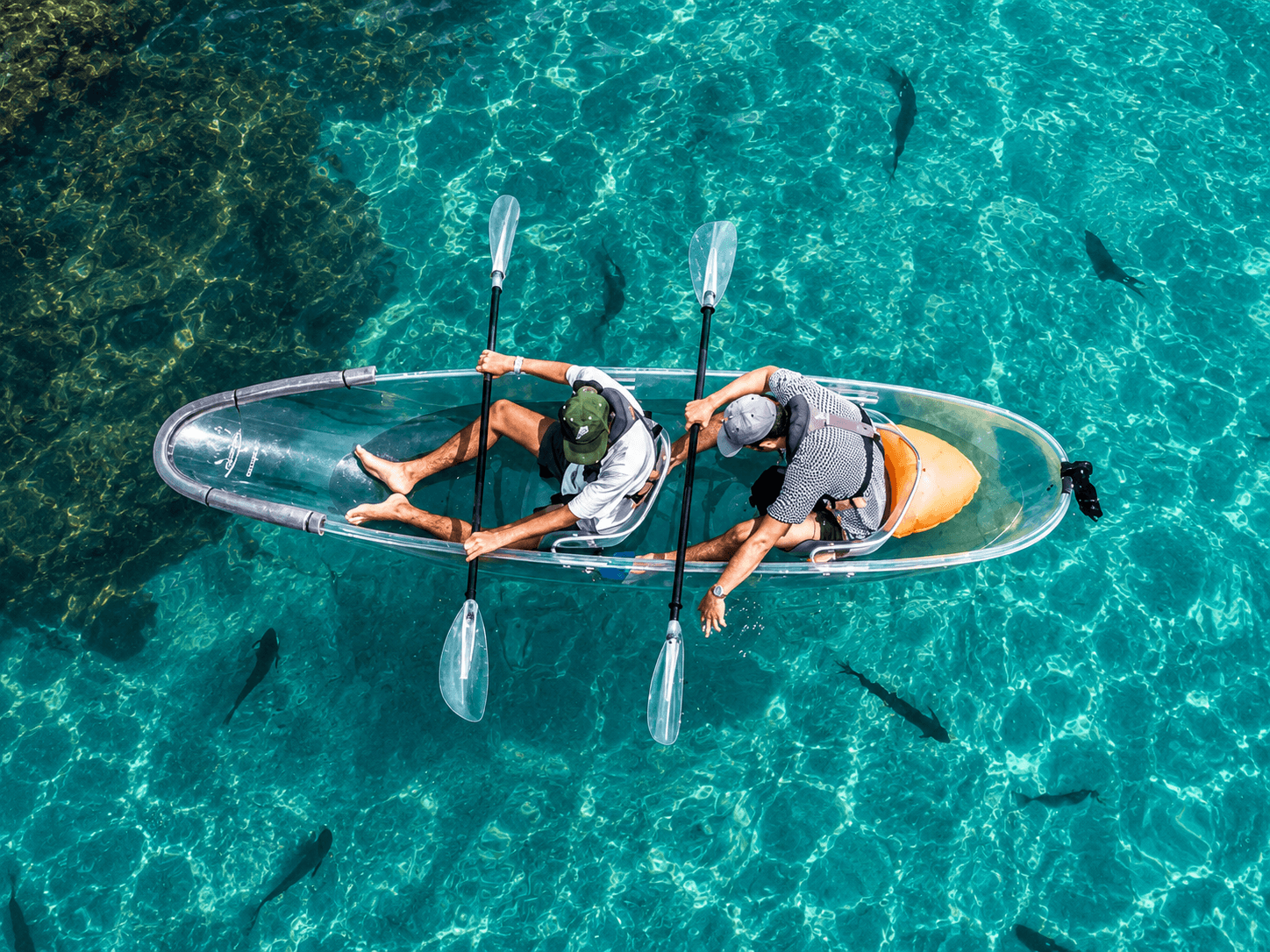 Kayak to Goat Island