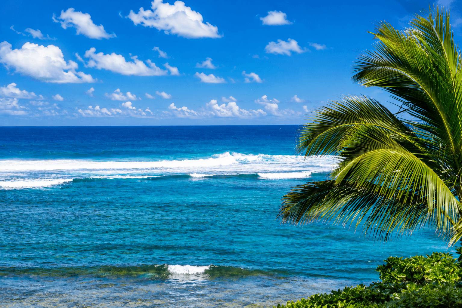 Top 5 Activities, North Shore Oʻahu