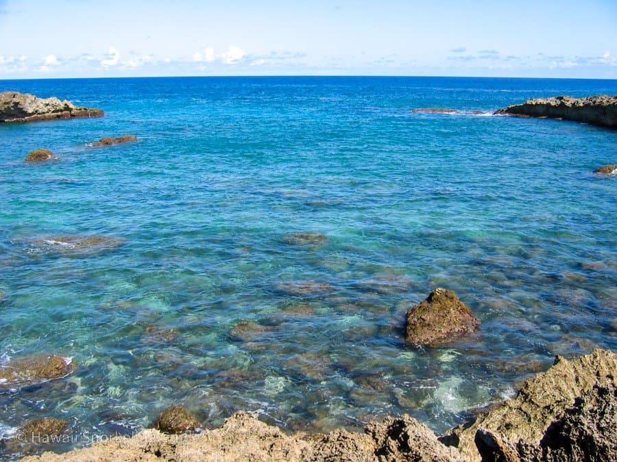 Shark's Cove
