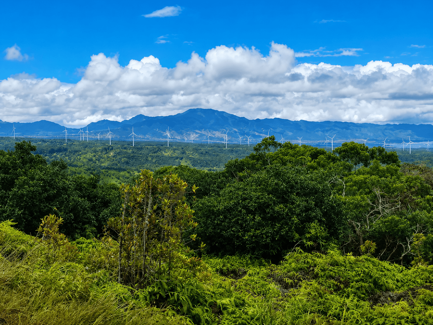 Kaunala Loop Trail