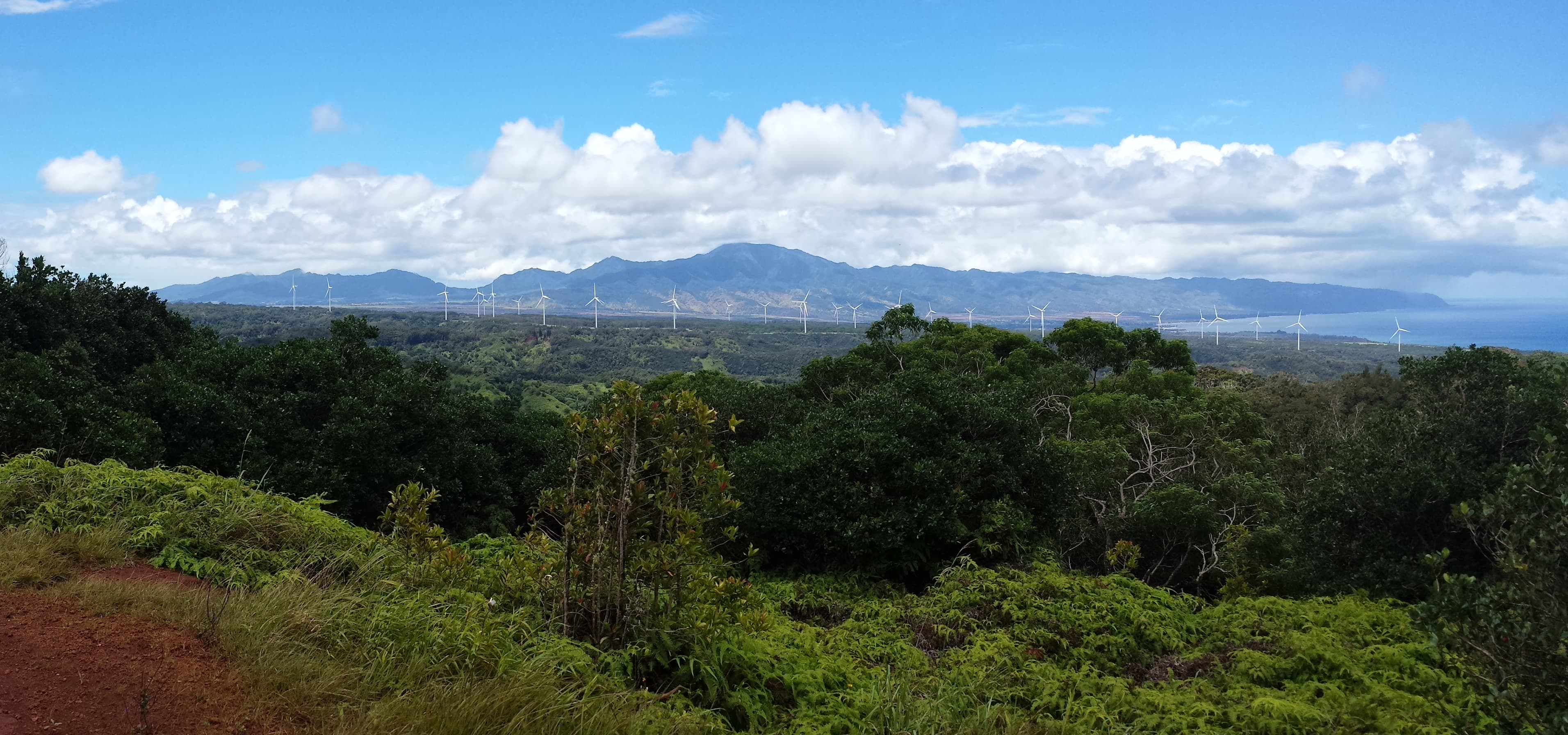 Kaunala Loop Trail